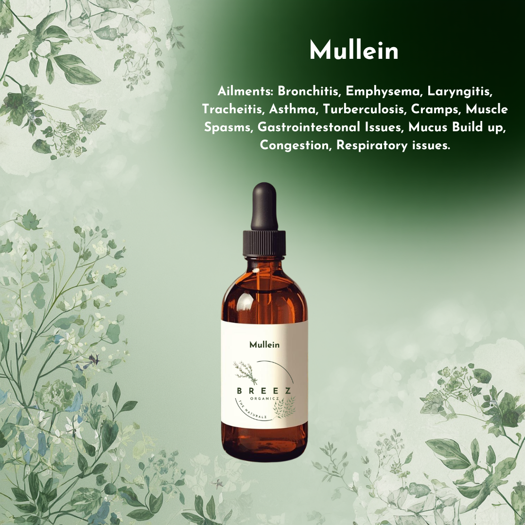Mullein Tincture