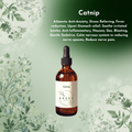 Catnip Tincture
