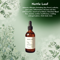 Stinging Nettle Leaf Tincture