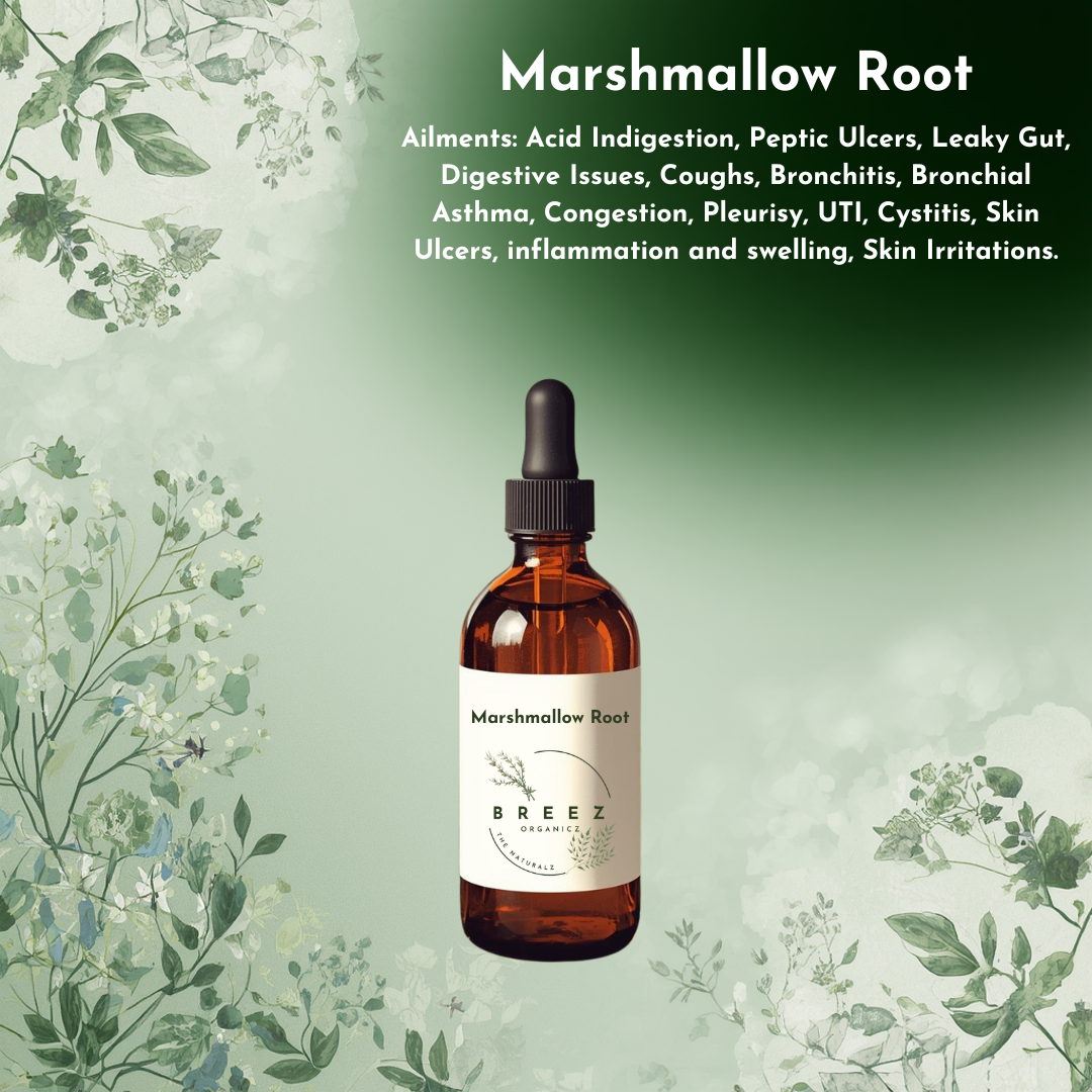 Marshallow Root Tincture