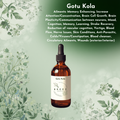 Gotu Kola Tincture