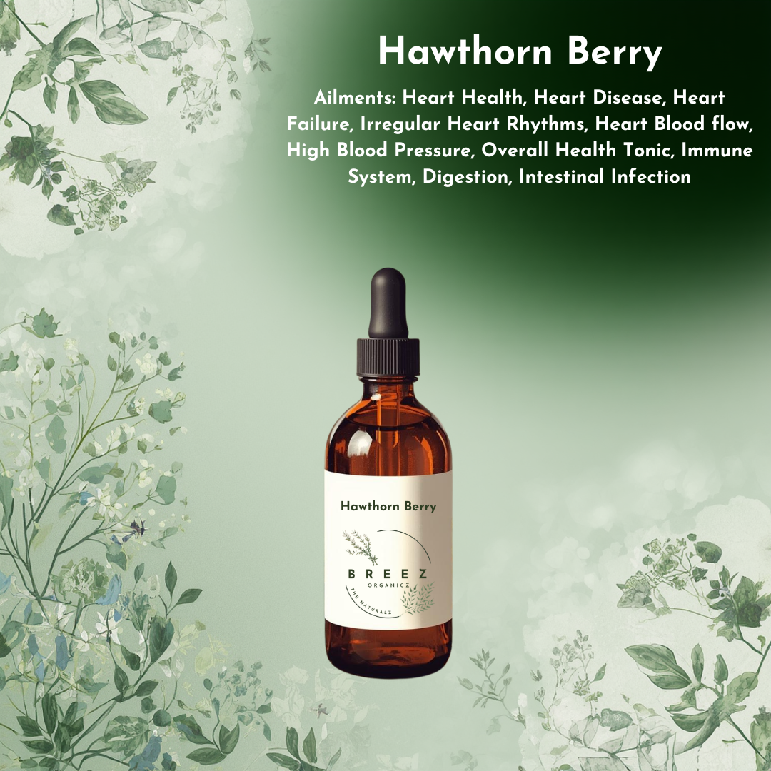 Hawthorn Berry  Tincture