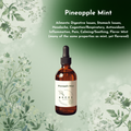 Pineapple Mint Tincture